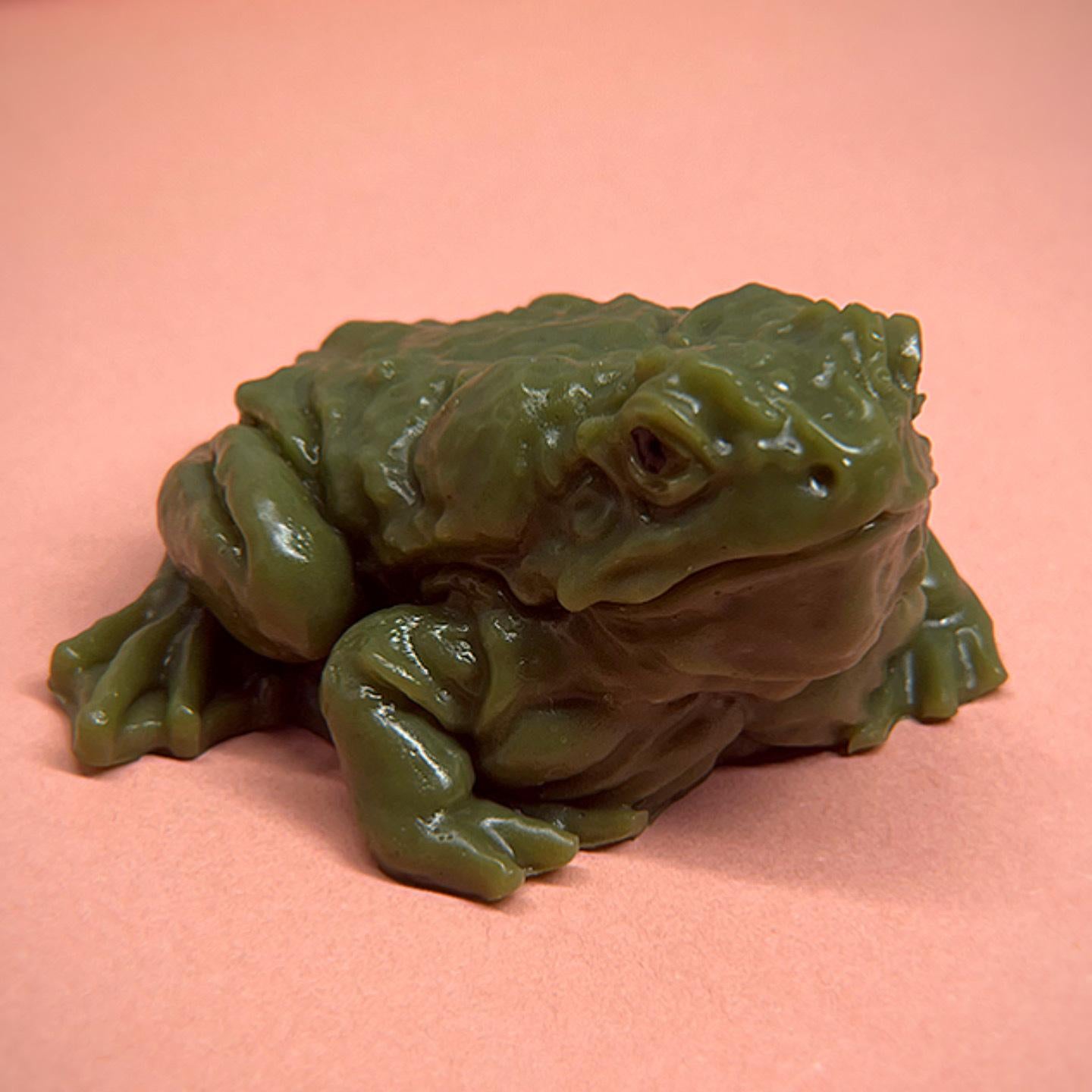 Realistic Frog Squishy Stress Relief Toy - Lifelike Size Fidget Toy for Pranks, Anxiety Relief & Funny Gags, Soft Squeezable Fun for Kids & Adults